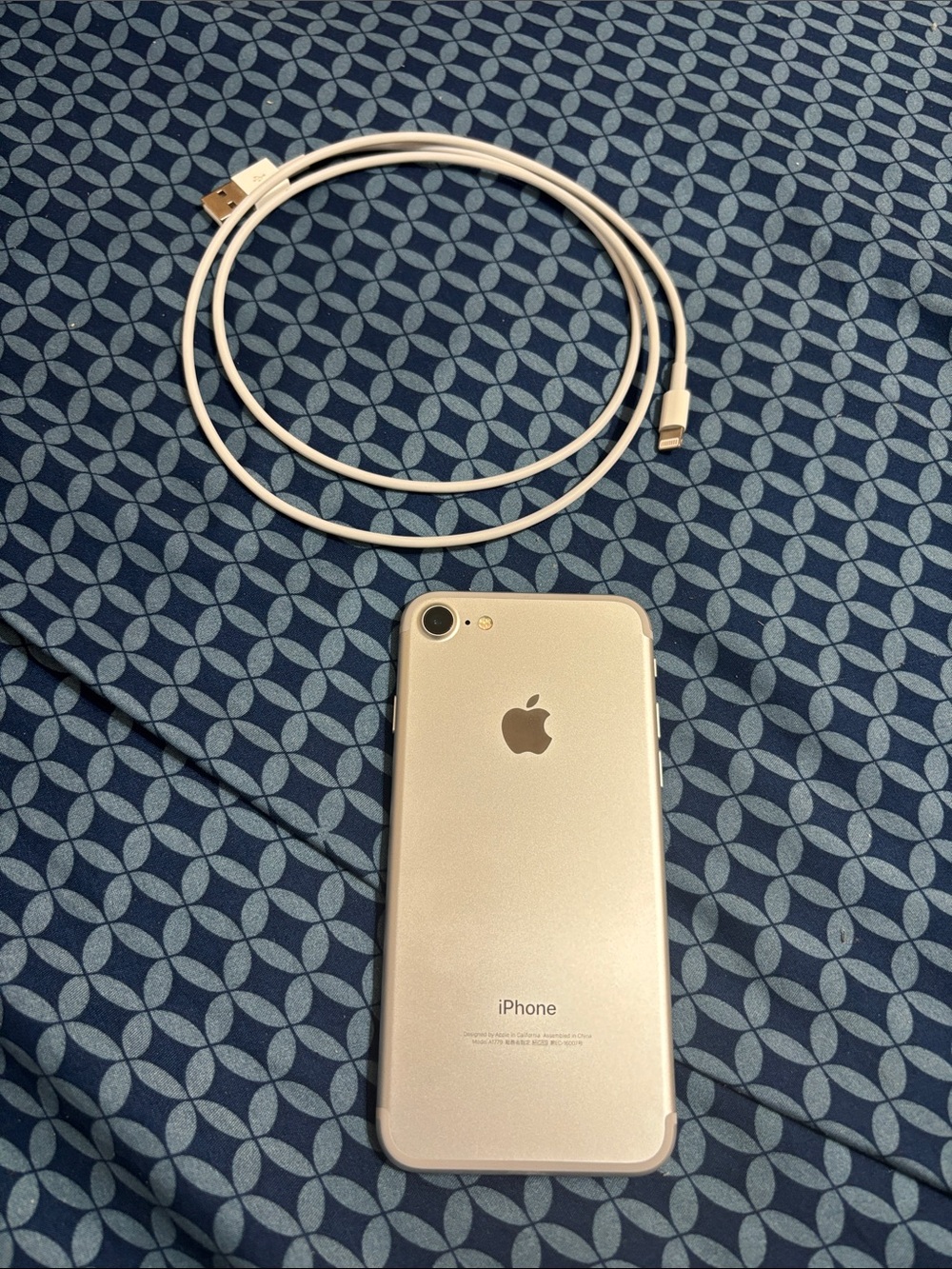 Apple iPhone 7 Silver with White Lightning Cable